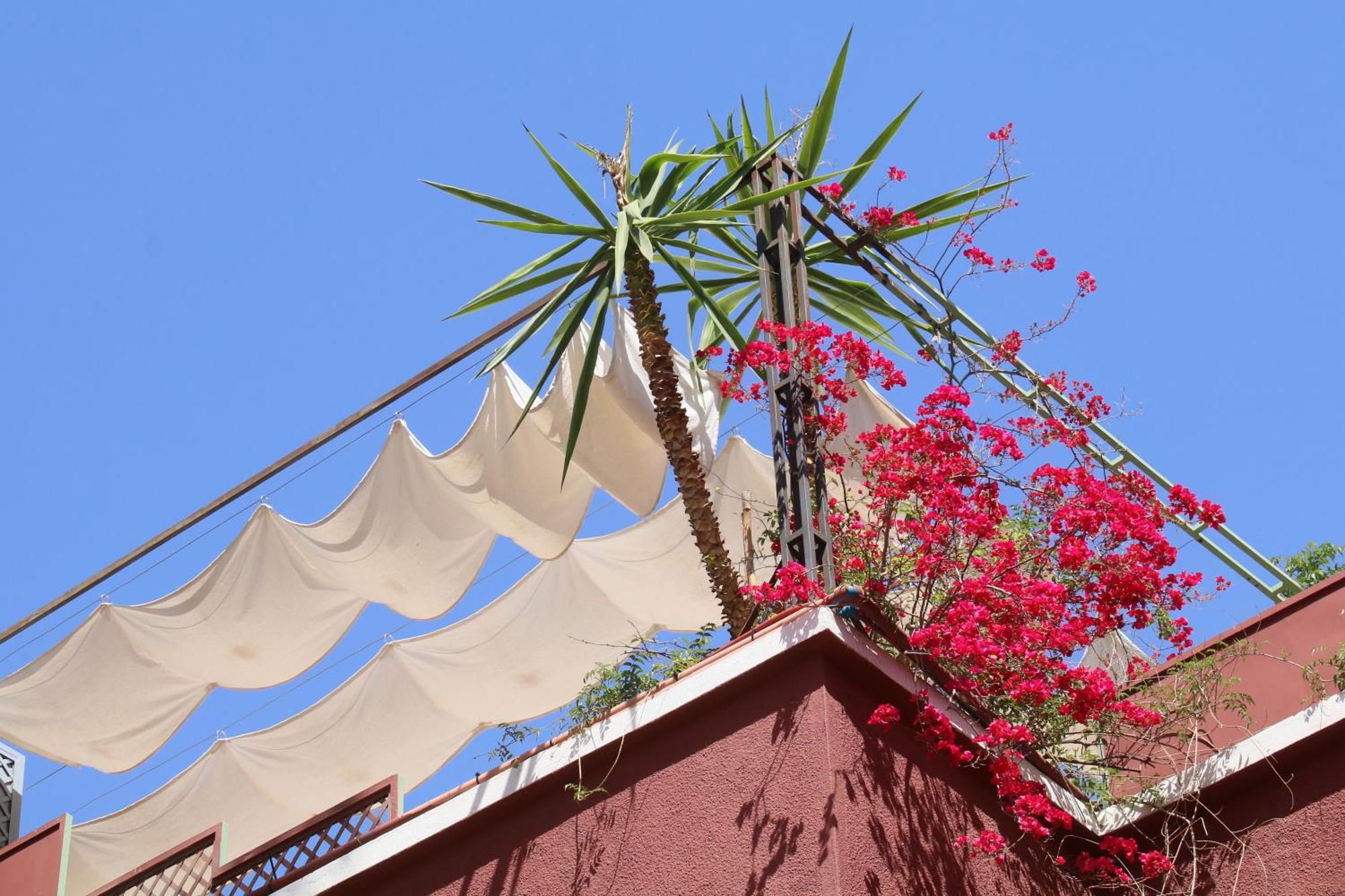 Riad Celia มาร์ราเกช ภายนอก รูปภาพ